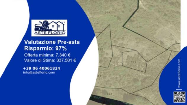 terreno agricolo in vendita a Sorbo San Basile