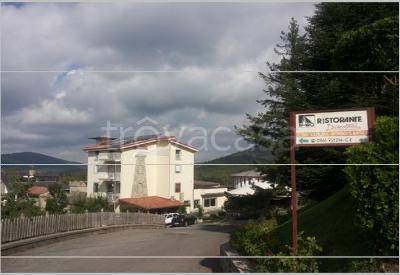 negozio in vendita a Sorbo San Basile