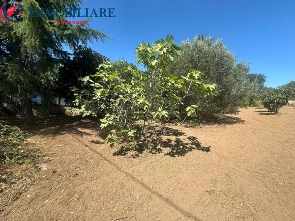 terreno agricolo in vendita a Soverato