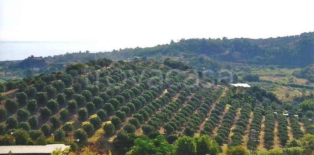 terreno agricolo in vendita a Soverato