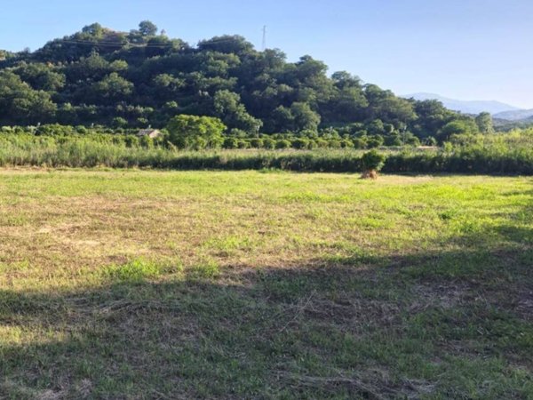 terreno agricolo in vendita a Soverato