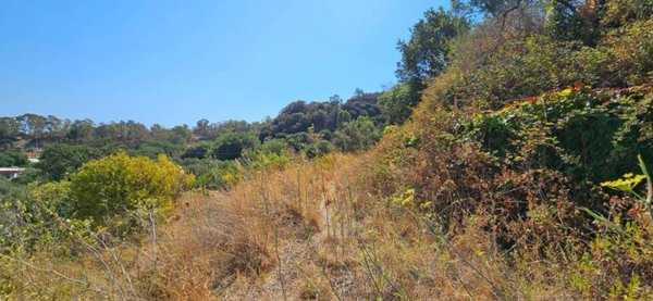 terreno agricolo in vendita a Soverato