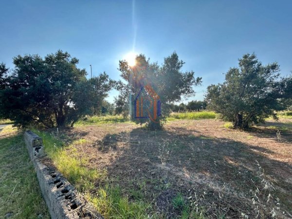 terreno agricolo in vendita a Soverato