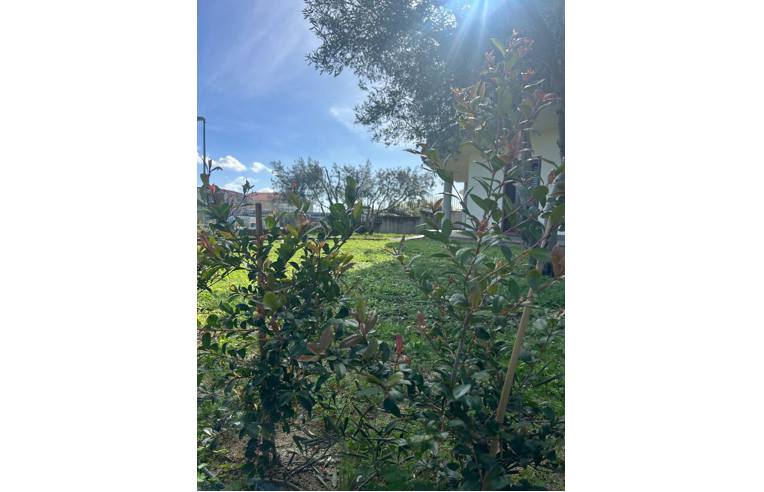 casa indipendente in vendita a Soverato