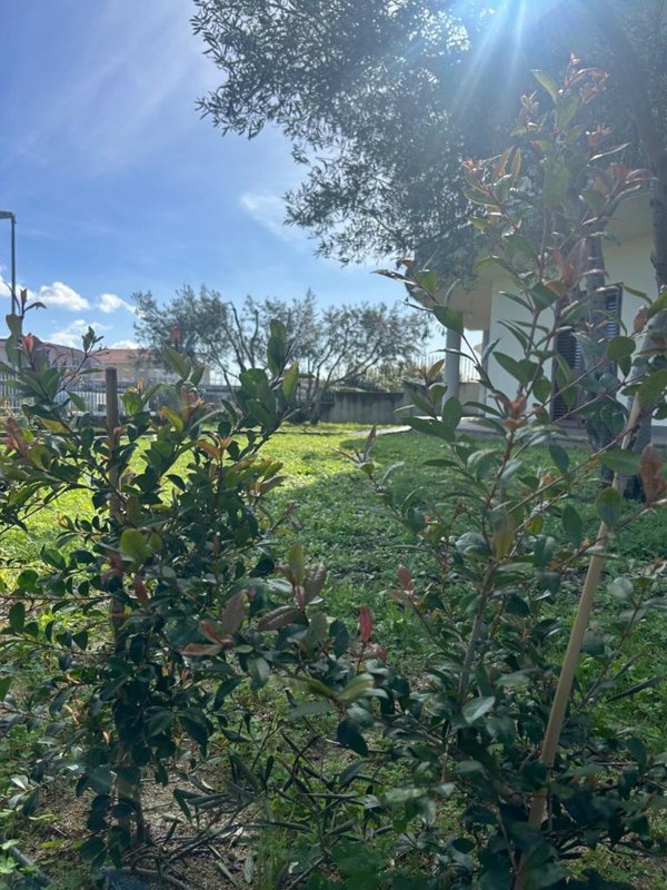 casa indipendente in vendita a Soverato