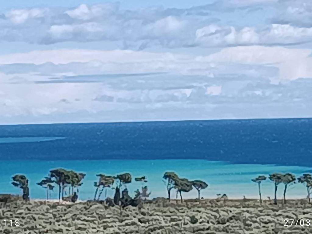 terreno agricolo in vendita a Soverato
