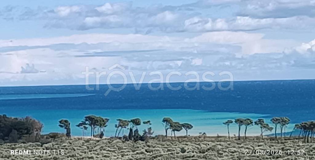 casa indipendente in vendita a Soverato