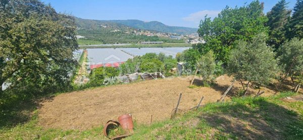terreno agricolo in vendita a Soverato