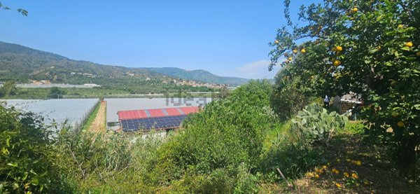 terreno agricolo in vendita a Soverato