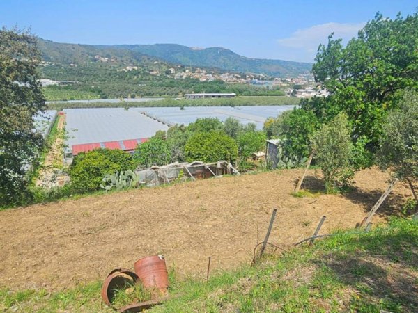 terreno agricolo in vendita a Soverato