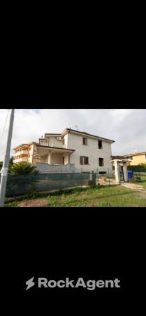 immagine annuncio 0 di 15