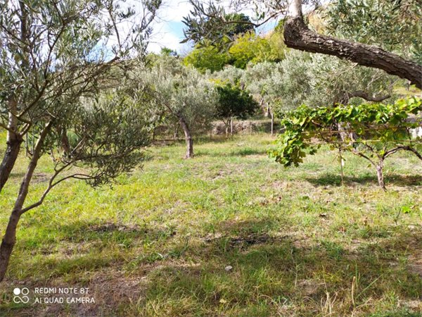 terreno agricolo in vendita a Squillace in zona Fiasco Baldaia
