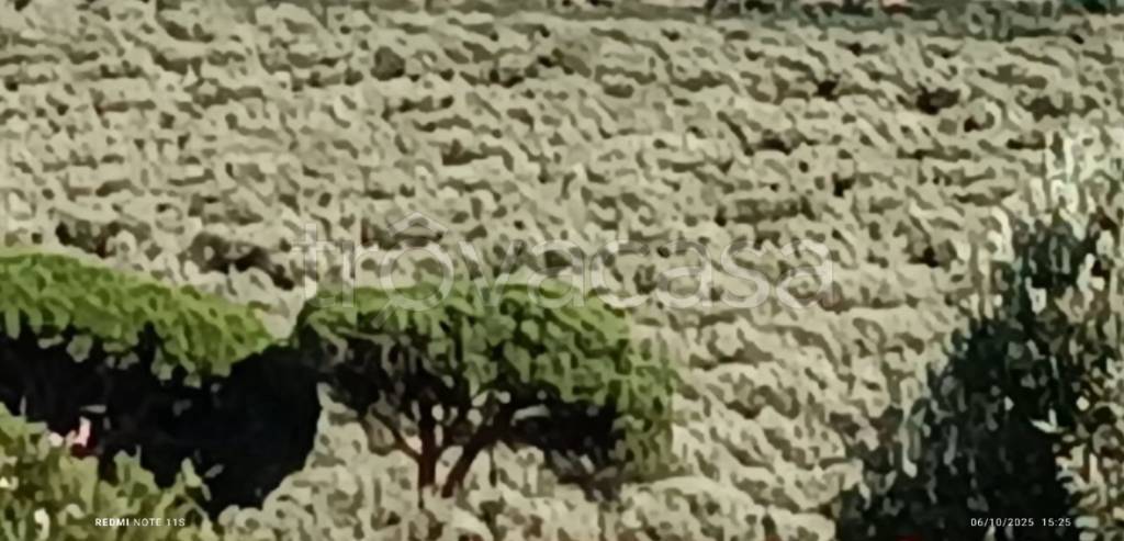 terreno agricolo in vendita a Squillace