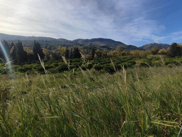 terreno agricolo in vendita a Squillace