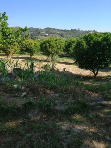 terreno agricolo in vendita a Squillace