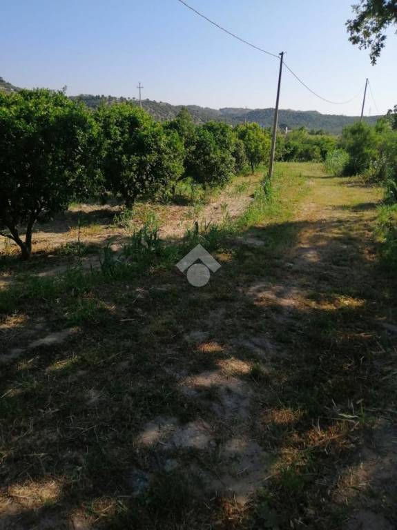 terreno agricolo in vendita a Squillace
