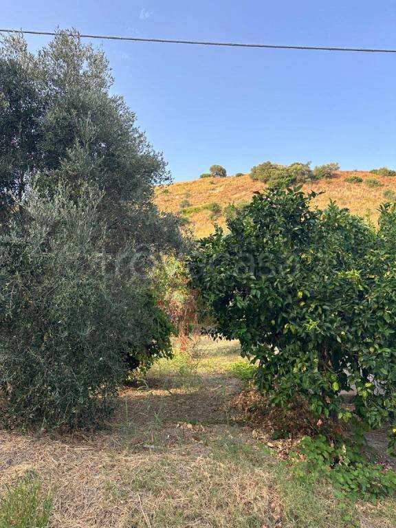 terreno in vendita a Squillace