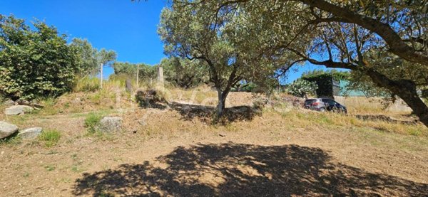 terreno agricolo in vendita a Stalettì
