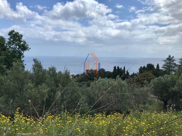 terreno agricolo in vendita a Stalettì in zona Copanello