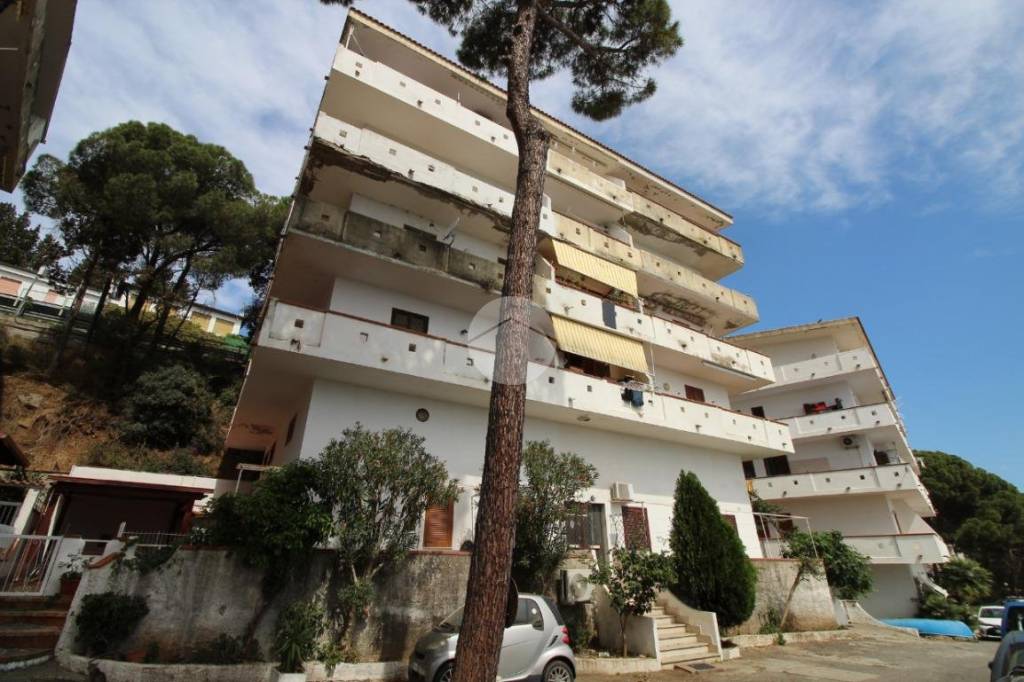 appartamento in vendita a Stalettì in zona Copanello