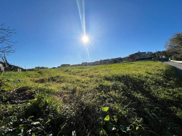 terreno agricolo in vendita a Stalettì