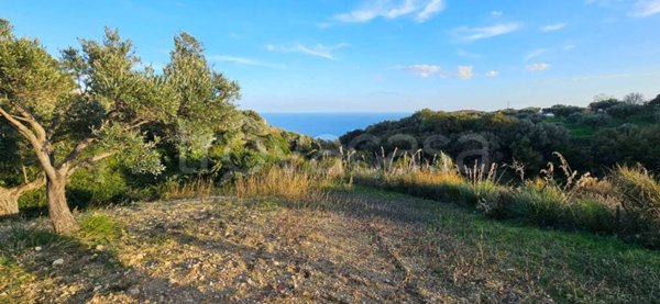 terreno agricolo in vendita a Stalettì