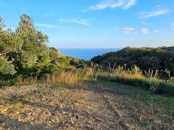 terreno agricolo in vendita a Stalettì