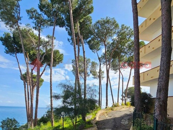 appartamento in vendita a Stalettì in zona Copanello