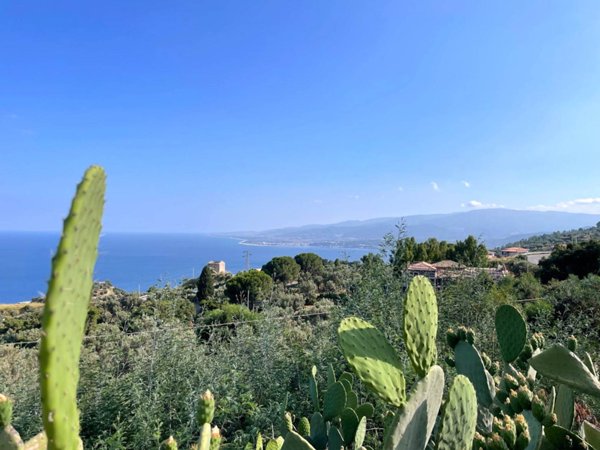casa indipendente in vendita a Stalettì