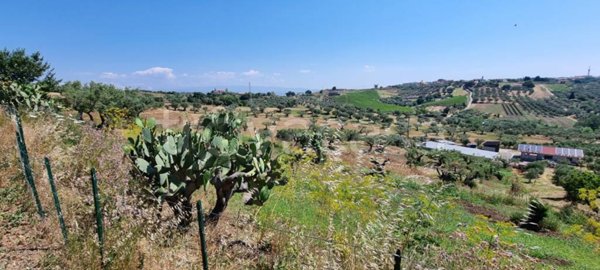 terreno agricolo in vendita a Stalettì