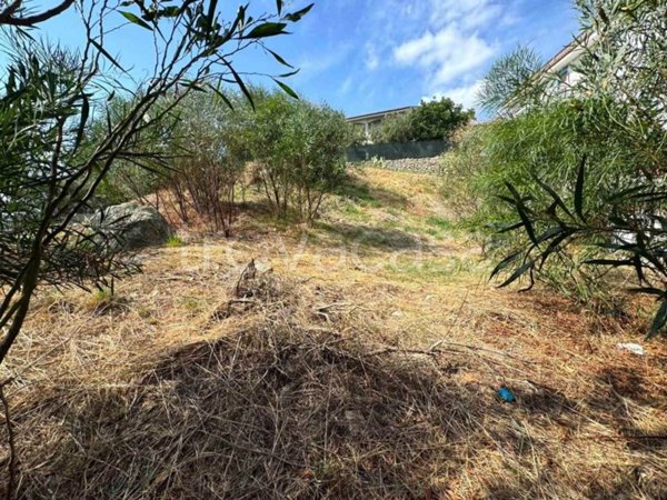 terreno agricolo in vendita a Stalettì in zona Copanello