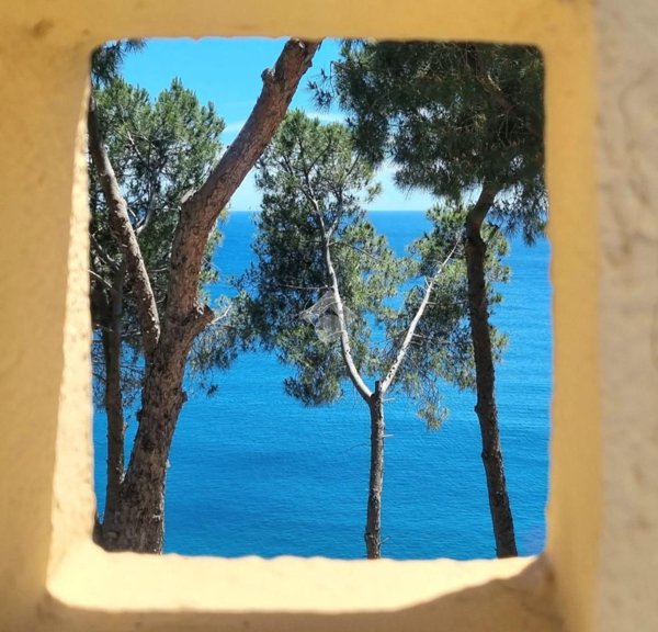 immagine annuncio 0 di 1