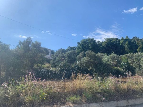 terreno edificabile in vendita a Stalettì