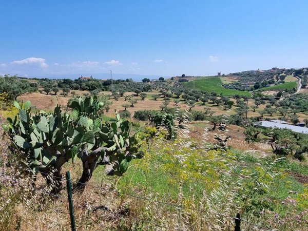 terreno agricolo in vendita a Stalettì
