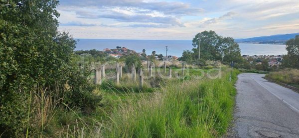 terreno agricolo in vendita a Stalettì