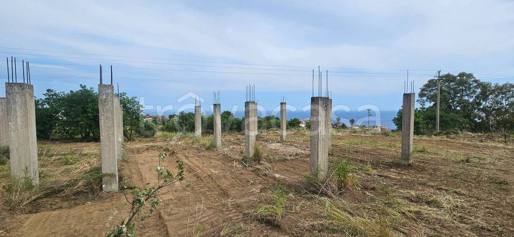 terreno agricolo in vendita a Stalettì
