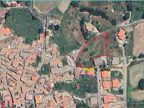 terreno agricolo in vendita a Stalettì