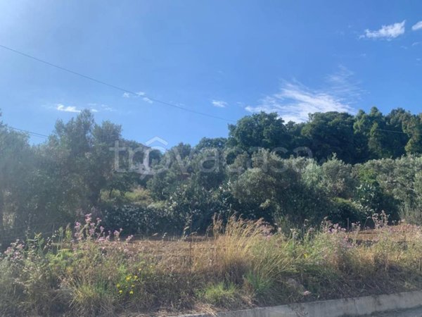 terreno edificabile in vendita a Stalettì