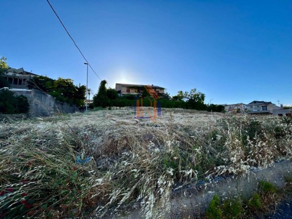 terreno agricolo in vendita a Stalettì