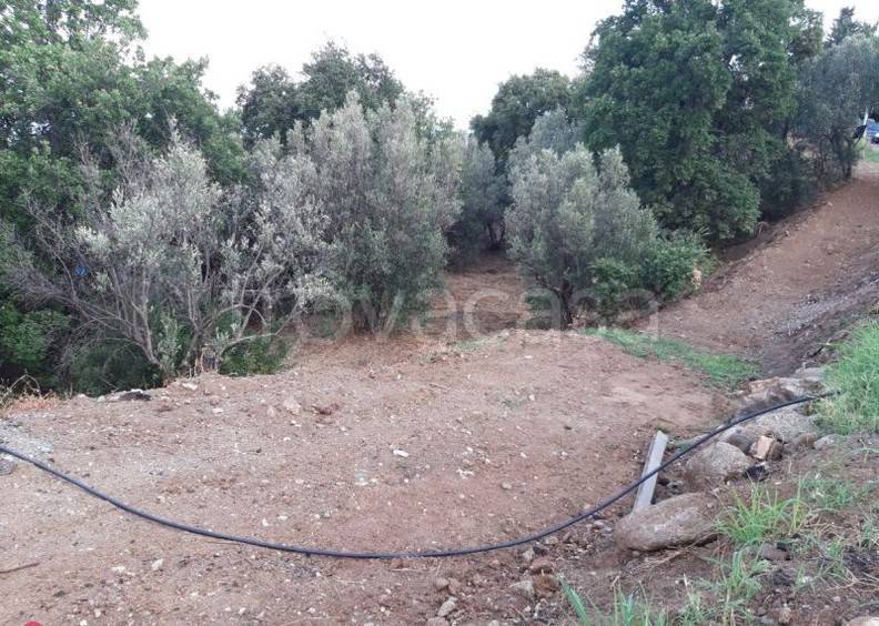 terreno agricolo in vendita a Stalettì in zona Copanello