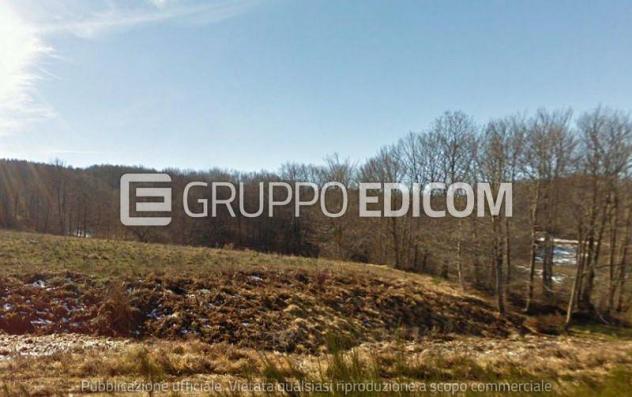terreno agricolo in vendita a Taverna