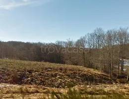 terreno agricolo in vendita a Taverna