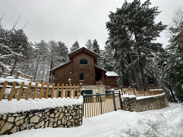 pentavano in vendita a Taverna