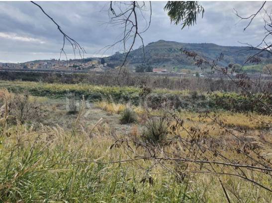 ufficio in vendita a Tiriolo in zona Sarrottino