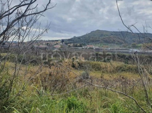terreno agricolo in vendita a Tiriolo in zona Sarrottino