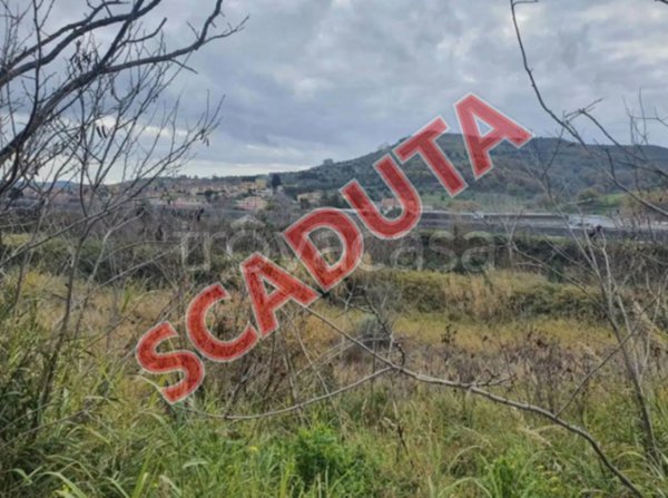 terreno agricolo in vendita a Tiriolo in zona Sarrottino