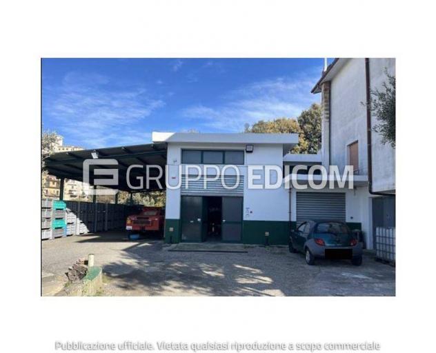 locale commerciale in vendita a Zagarise