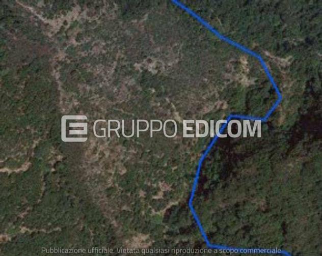 terreno agricolo in vendita a Zagarise