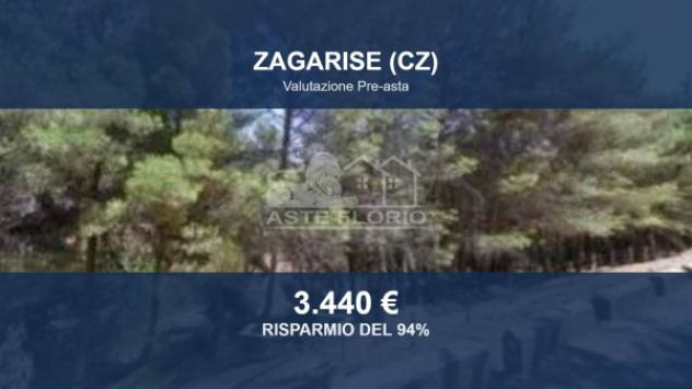 terreno agricolo in vendita a Zagarise
