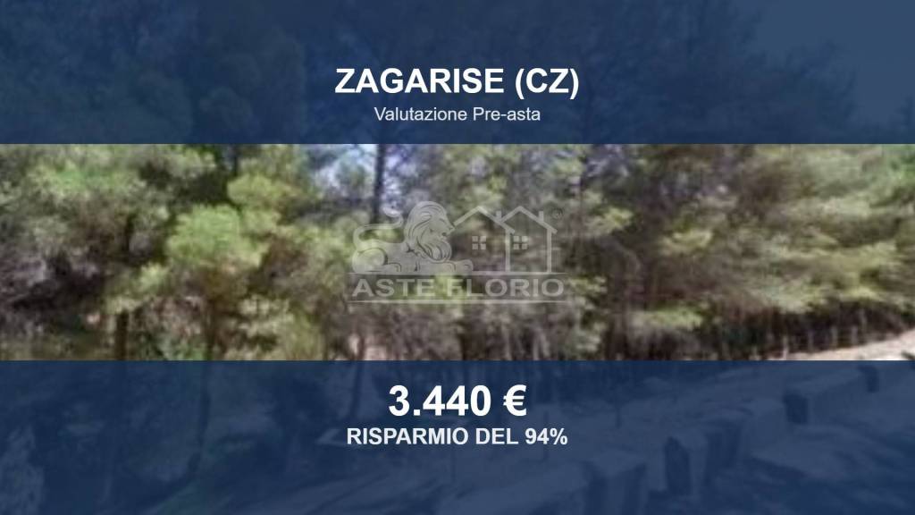 terreno agricolo in vendita a Zagarise